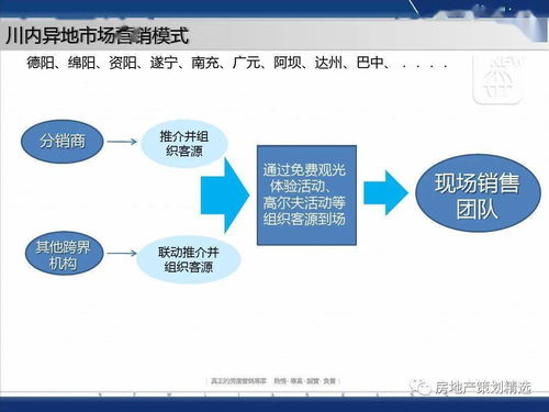 成都藍光地產(chǎn)觀嶺國際營銷方案報告