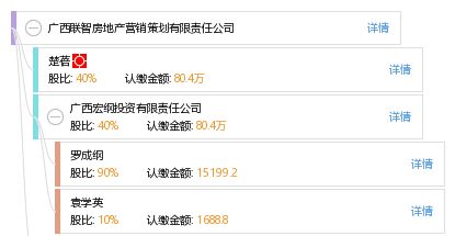 廣西聯智房地產營銷策劃有限責任公司 專業賦能，智領房地產營銷新篇章